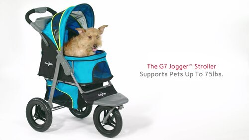 Gen7pets hotsell dog stroller